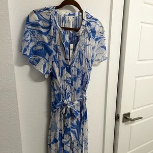 Anthropology Blue & White Pleated Dress